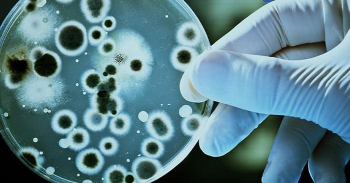 Phân biệt nuôi cấy liên tục và nuôi cấy không liên tục                                   So sánh nuôi cấy liên tục và không liên tục