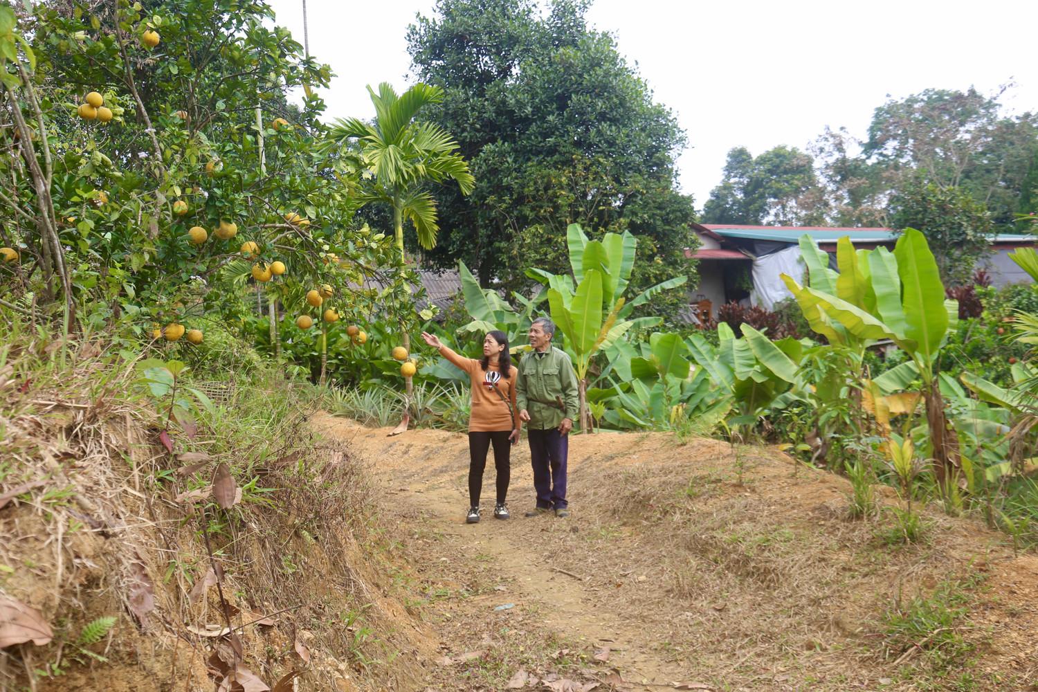 Làm giàu từ mô hình “vườn - ao - chuồng”