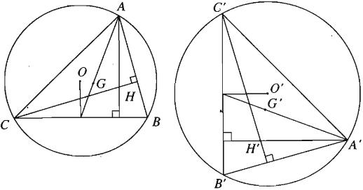 Phép đồng dạng là gì? Định nghĩa, tính chất & bài tập áp dụng