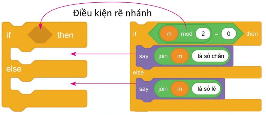 Cấu trúc rẽ nhánh là gì? Cấu trúc rẽ nhánh có mấy loại?