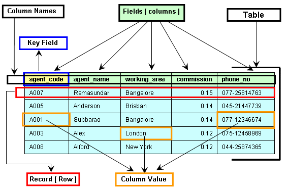 Các thao tác cơ bản với Database SQL Server (tạo mới database, table,…)