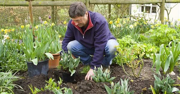 Tả một người thân đang làm việc Hay Chọn Lọc (82 mẫu)