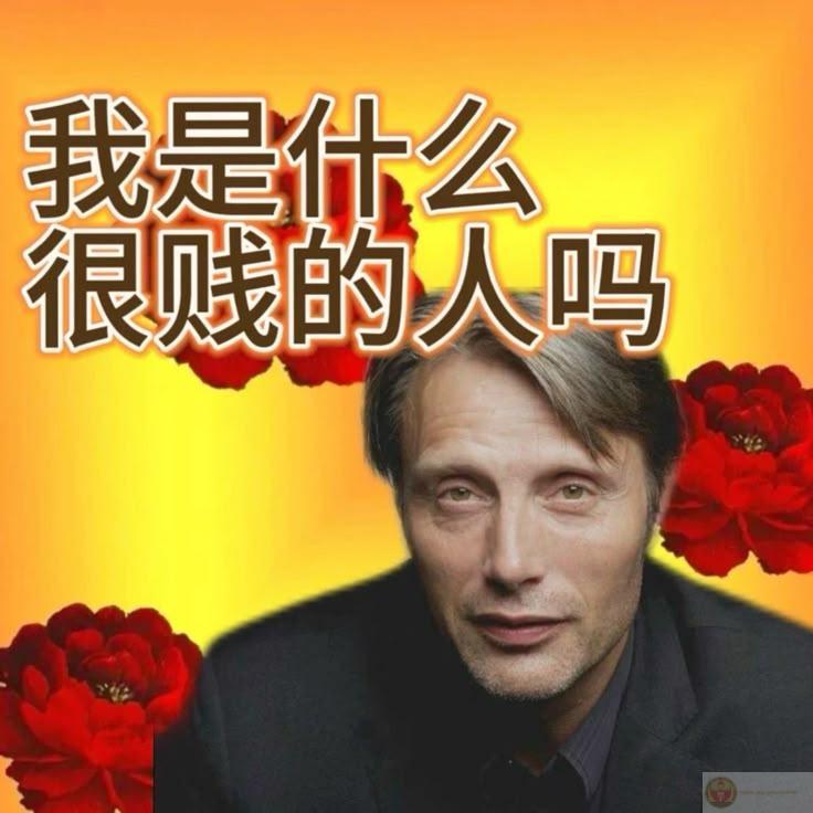 Meme Trung Quốc chế hài đỉnh, bộ ảnh 2025 cười té ghế