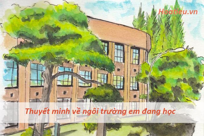 Thuyết minh về ngôi trường em đang học