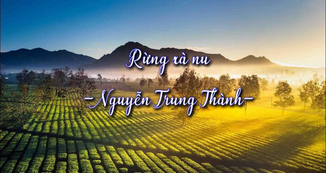 Tóm tắt Rừng Xà Nu