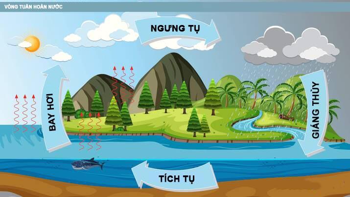 Sự bay hơi và sự ngưng tụ là gì? Các ví dụ trong cuộc sống hàng ngày về nó?
