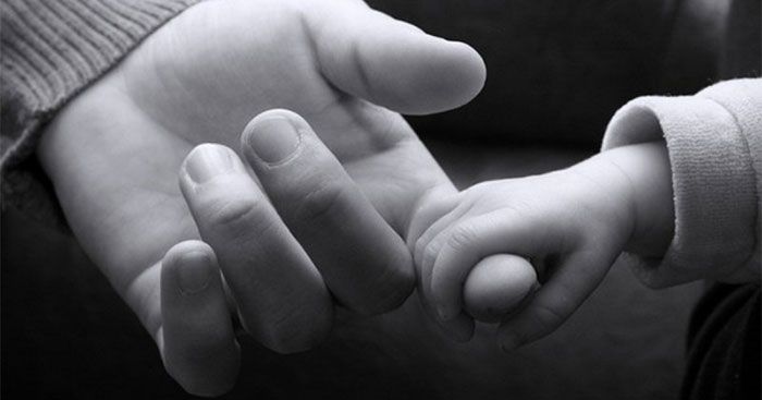 Ví dụ về tình mẫu tử: Sự thiêng liêng của tình mẫu tử