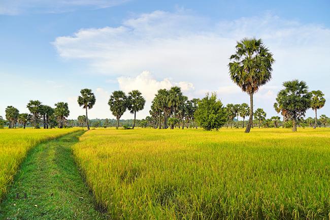 (3 đề) Việt Nam đất nước ta ơi đọc hiểu