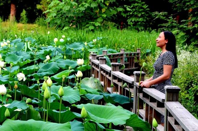 Gửi cô những tâm sự của con