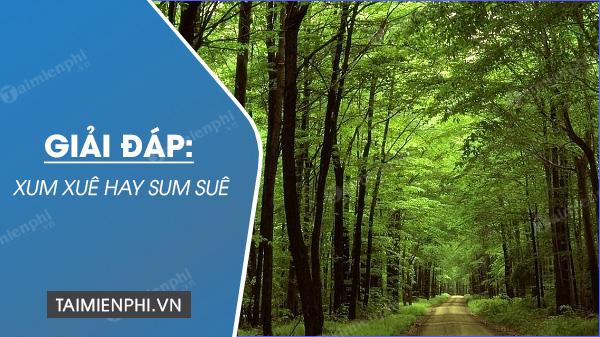 Xum xuê hay Sum Suê, từ nào đúng chính tả?