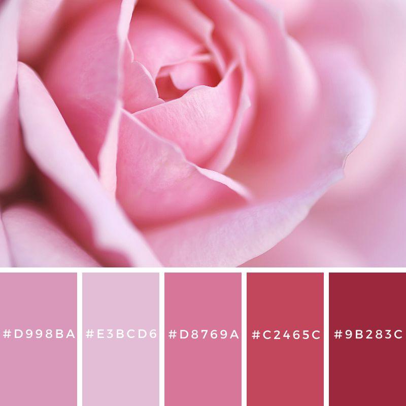 Ý nghĩa của màu hồng là gì? GIẢI MÃ TỪ A ĐẾN Z