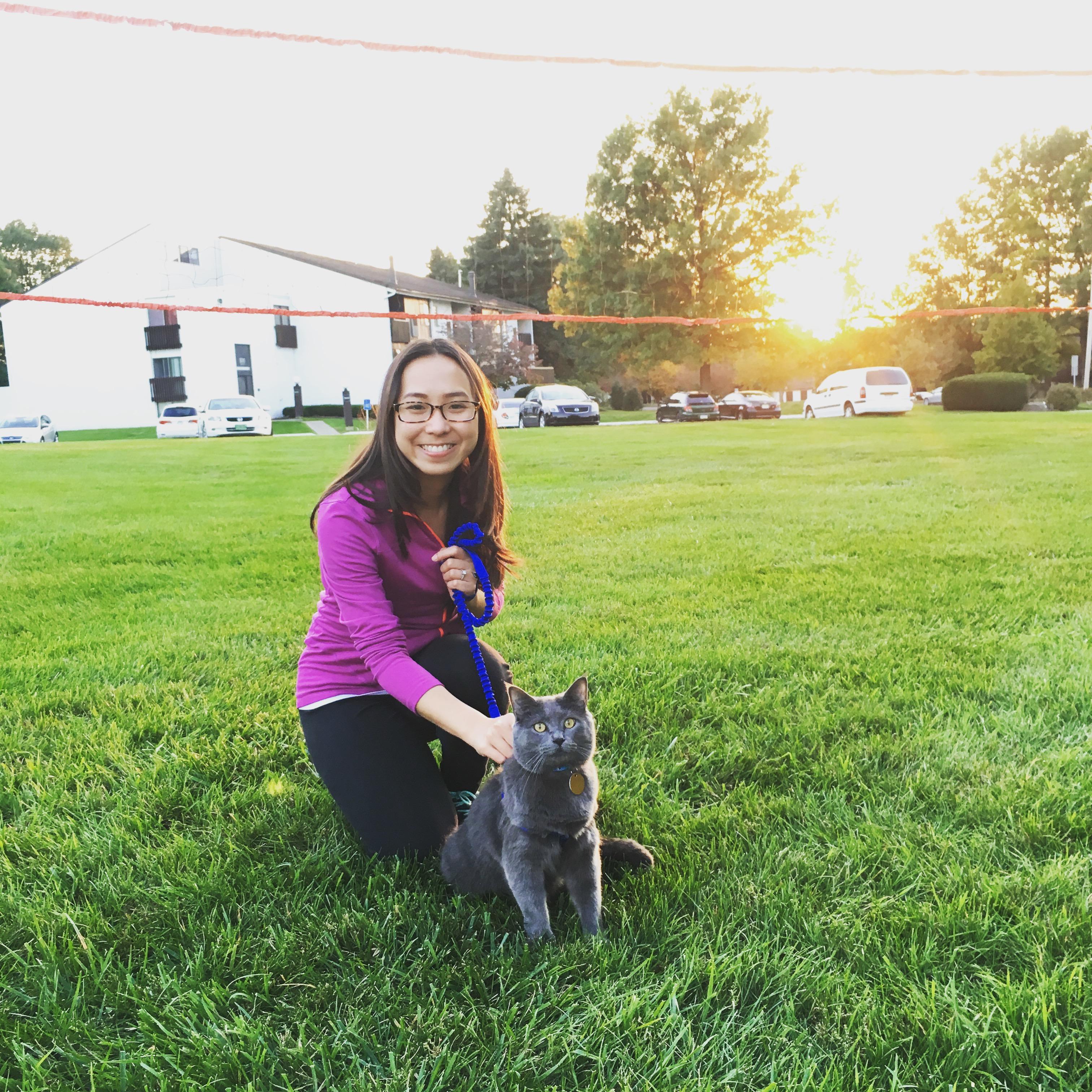 Nuôi mèo đã dạy cho tôi điều gì về cuộc sống?