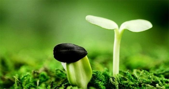 Viết đoạn văn ngắn nói về một người có ý chí, nghị lực                                   Dàn ý & 13 đoạn văn về ý chí nghị lực lớp 4