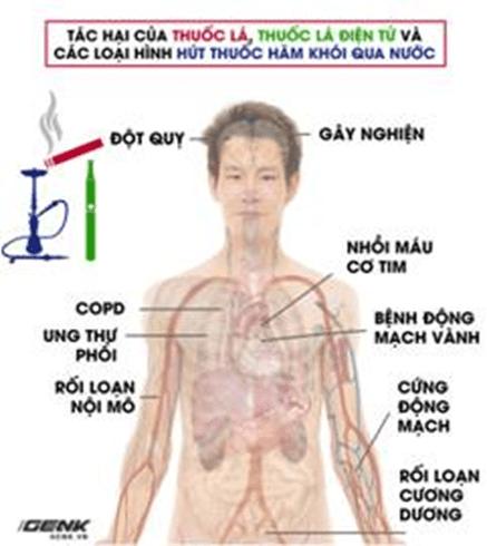 Nicotine và cai nghiện nicotine