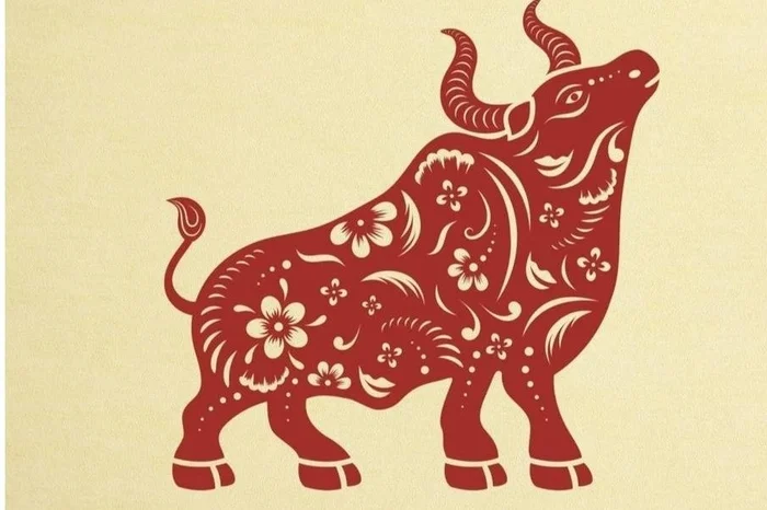 4 con giáp chẳng cần bon chen vẫn thành công rực rỡ trong năm 2026