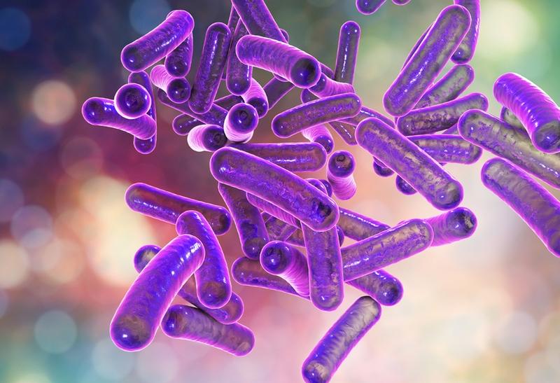 Cách phòng chống trùng kiết lị hiệu quả cho cả nhà