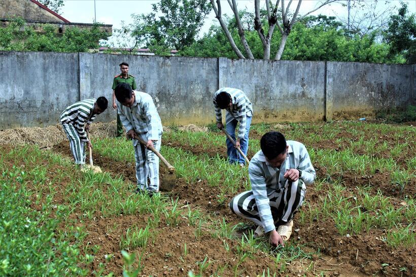 Bàn về điều kiện áp dụng và nghĩa vụ của người bị kết án cải tạo không giam giữ