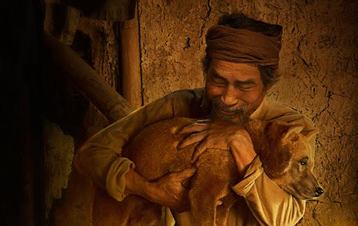 Tuyển chọn 7 bài Cảm nhận về nhân vật lão Hạc