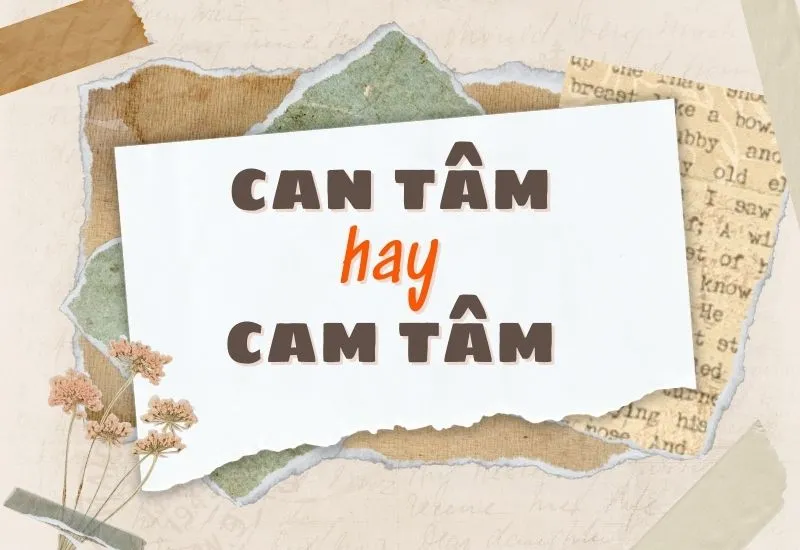Can Tâm Hay Cam Tâm: Phân Biệt Đúng Sai, Giữ Gìn Sự Trong Sáng Của Tiếng Việt!