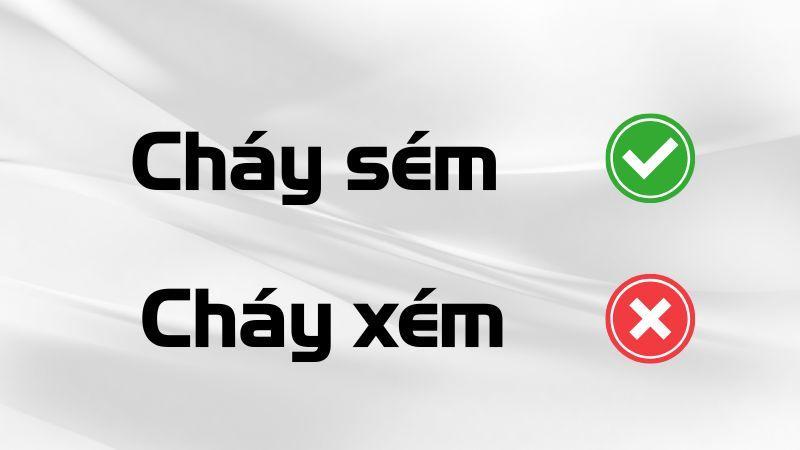 Cháy xém hay cháy sém đúng chính tả?