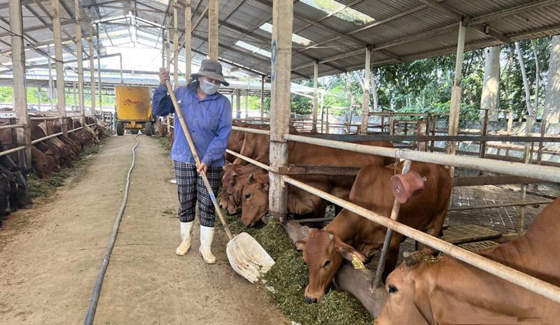 TP Hồ Chí Minh lập “lá chắn” môi trường cho ngành chăn nuôi