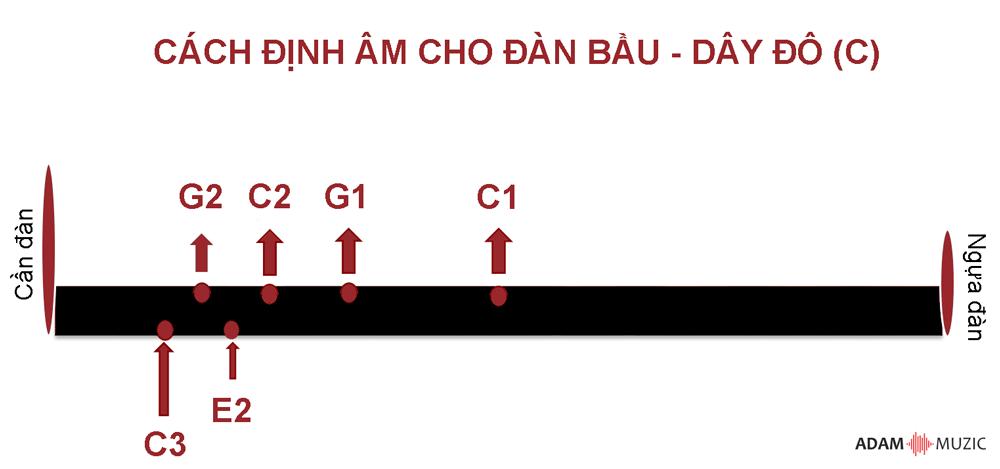 Tìm Hiểu Về Các Nốt Trên Cần Đàn Bầu Dây Đô