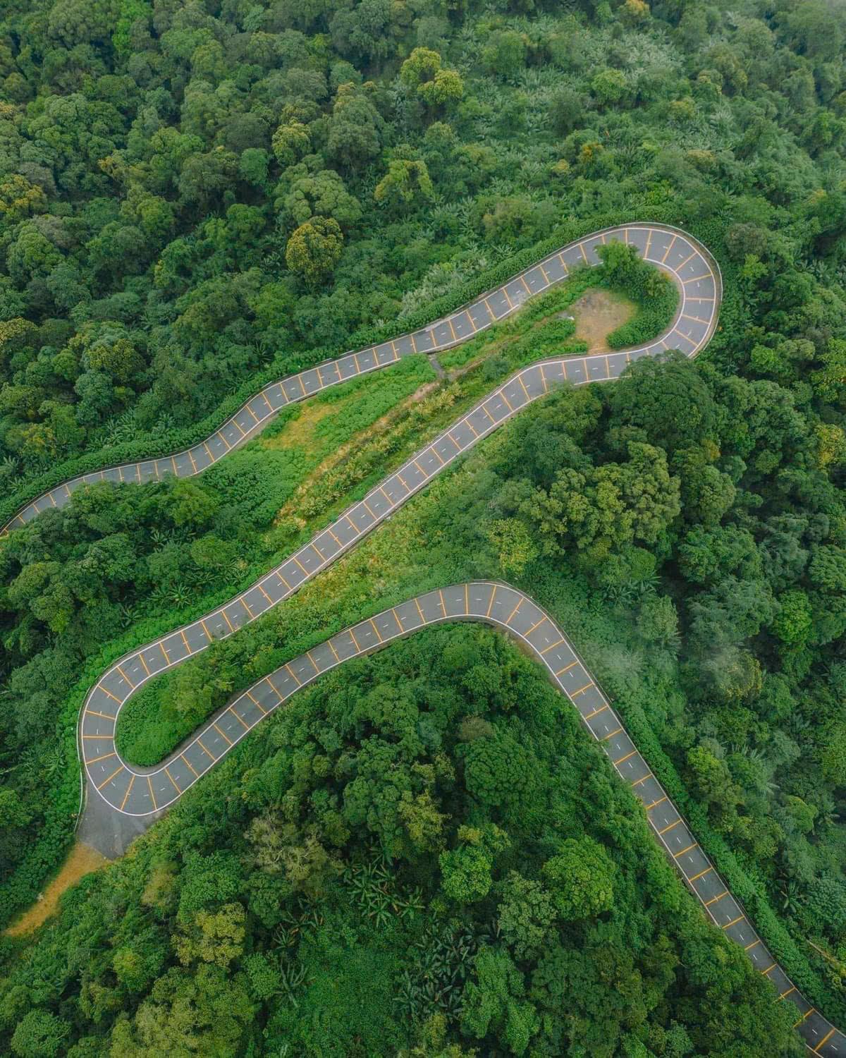 Hướng dẫn tham quan mùa hoa Dã quỳ năm 2025 tại Vườn quốc gia Ba Vì