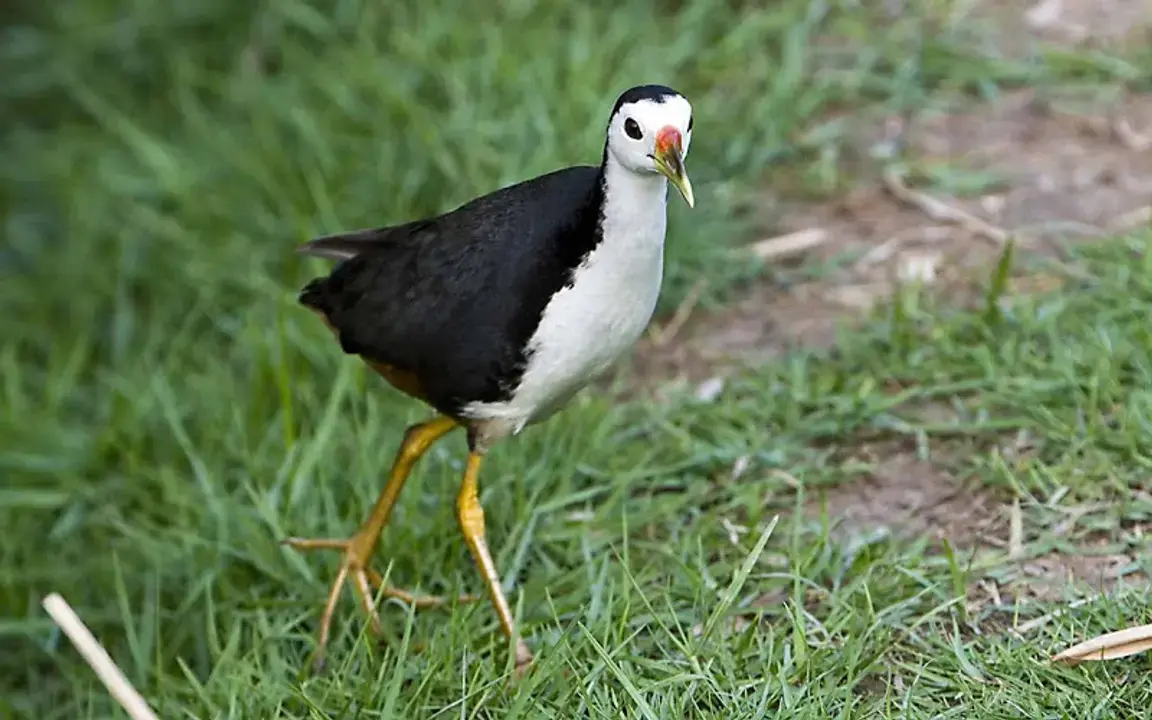 TRANG THÔNG TIN ĐIỆN TỬ 
CỦA CƠ QUAN BÁO VÀ PHÁT THANH TRUYỀN HÌNH HÀ NỘI