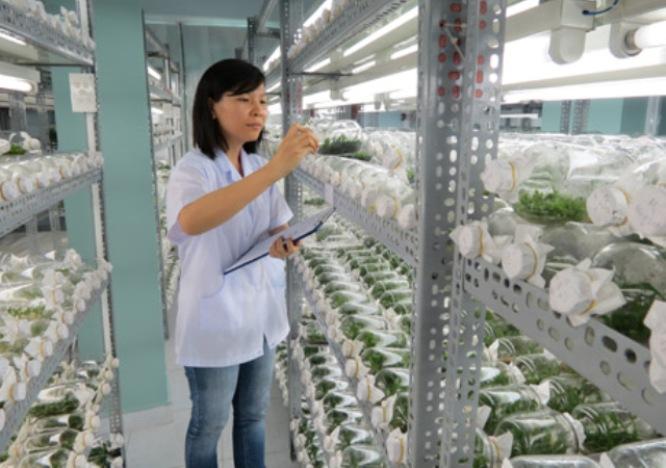 Khu nông nghiệp công nghệ cao: Đừng đua... dẫm chân nhau