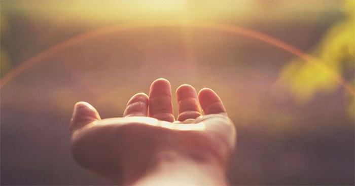 Dẫn chứng về lòng biết ơn                                   Ví dụ về lòng biết ơn trong cuộc sống