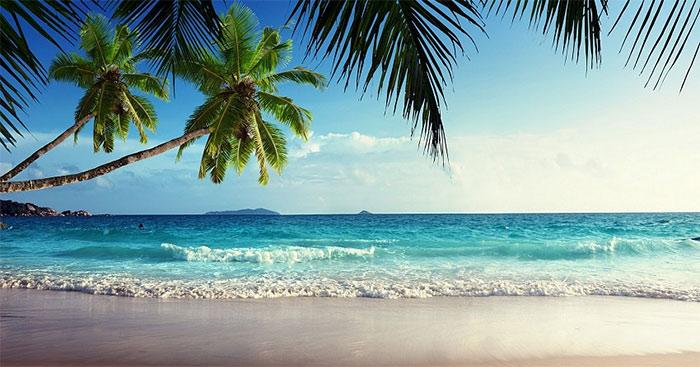 Dàn ý tả cảnh biển (15 mẫu)                               Dàn ý tả cảnh biển lớp 5