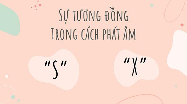 Phân biệt chính tả: “sai sót” hay “sai xót” mới đúng?