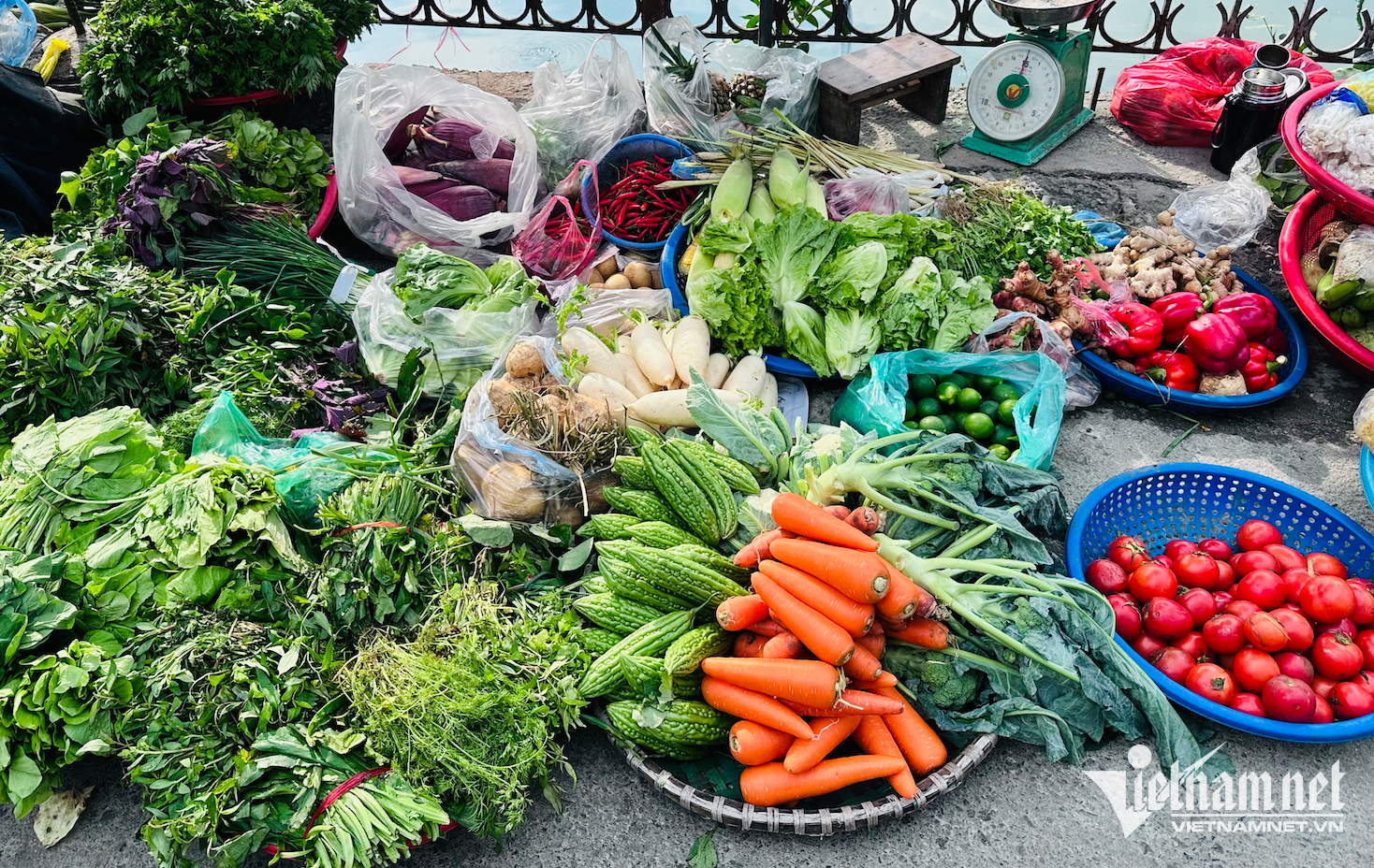 Giá rau xanh tăng 'phi mã', bà nội trợ dè xẻn từng mớ rau, quả cà chua