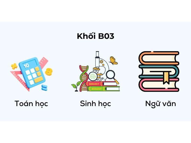 Khối B03 học ngành gì? Top trường đại học xét khối B03