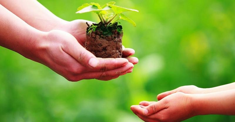 Thế nào là lòng vị tha? Lợi ích của lòng vị tha với sức khỏe tinh thần