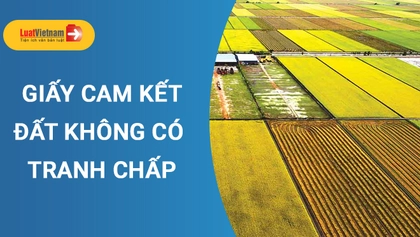 Mẫu Giấy cam kết không có tranh chấp đất đai thông dụng nhất