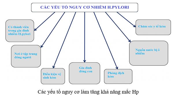 Nguyên nhân lây nhiễm vi khuẩn HP và cách phòng tránh