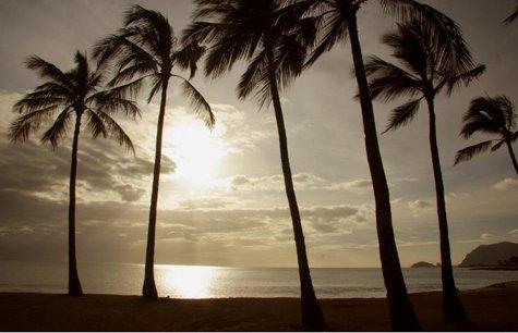 “VỚI CON, CHÚA YÊU ƠI! NGÀI QUÝ BÁU THAY”