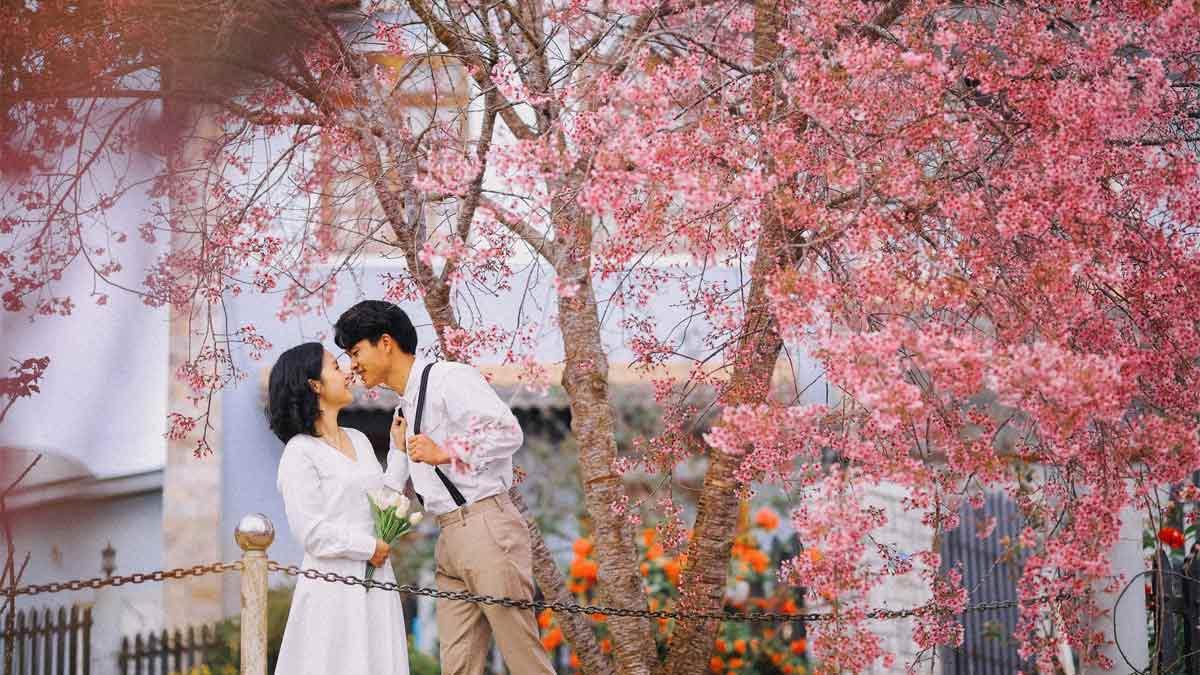 70+ câu thơ thả thính siêu hay, siêu chất, thả là dính ngay