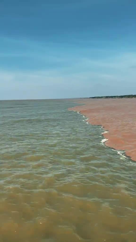 Xôn xao hiện tượng “nước lạ” chia đôi màu nước trên vùng biển Tây Cà Mau