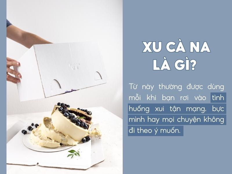 Xu cà na là gì? Giải mã ý nghĩa, nguồn gốc từ lóng hot trend