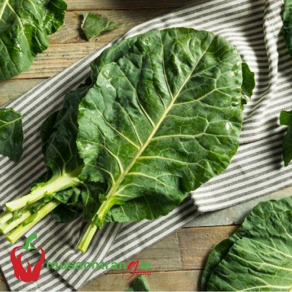 RAU SẠCH - CẢI RỔ