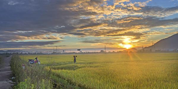 Tả cảnh buổi sáng trên quê hương em Hay Chọn Lọc (7 mẫu)