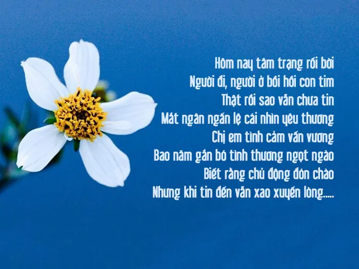 Top bài thơ chia tay đồng nghiệp nghỉ việc, về hưu xúc động