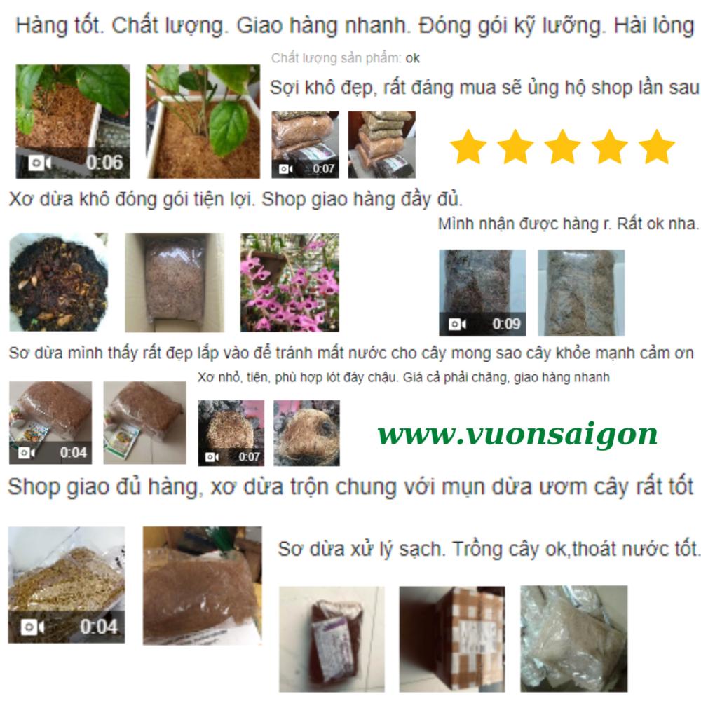 Xơ dừa sợi trồng lan đã qua xử lý