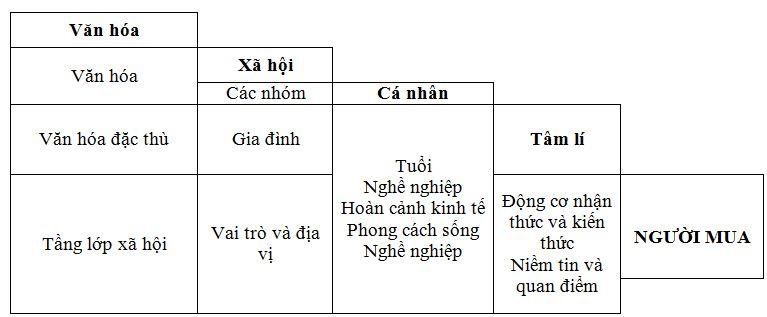 Các yếu tố ảnh hưởng đến hành vi của người tiêu dùng